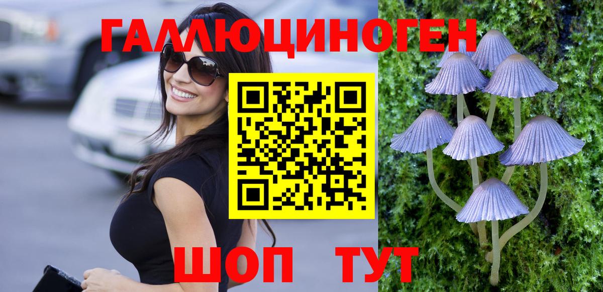 Михайловка  Псилоцибиновые грибы Psilocybe  Вход с VPN  Псилоцибиновые грибы мухоморы 